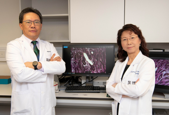 The HKUMed research team: Professor Simon Law Ying-kit (left) and Professor Leung Suet-yi.
 